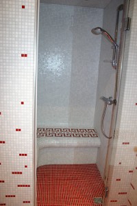 Steam shower