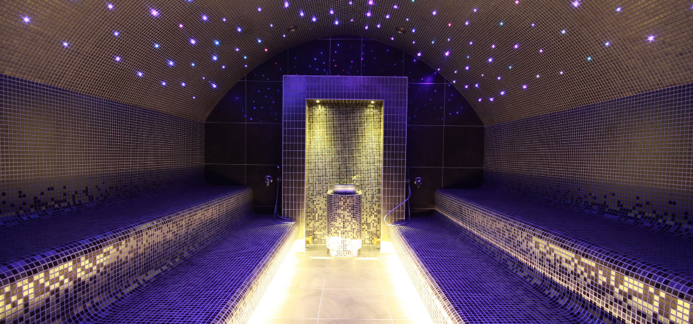 Garinės pirties stogai